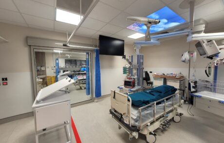 Projects-Scan CT-3